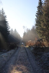 Winterweg