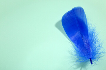 One fluffy blue feather on light background, top view. Space for text