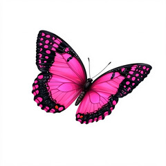 Obraz premium A digitally created butterfly displays vibrant pink wings edged with black and dotted with pink spots, set against a plain white backdrop.
