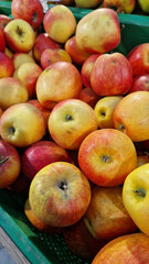 Apples for sale in a supermarket. Ripe juicy apples close-up with selective focus. Fruits. A pile of apples for sale in a store. A variety of fresh apples on a supermarket counter