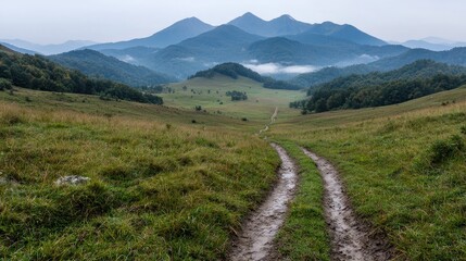 Misty Mountain Valley Dirt Road