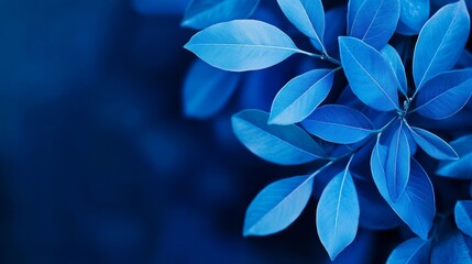 Fototapeta premium Serene Blue Leaves - Close-up of vibrant blue leaves, ideal for nature, serenity, and tranquility themed designs