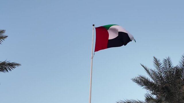 UAE flag waving in the blue sky between palm trees, national symbol of UAE