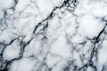 Black and White Marble Texture with Bold Natural Veining.
