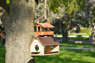 A bird feeder in a city park. caring for birds in winter and during the cold season. a place to feed wintering birds