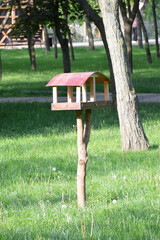 A bird feeder in a city park. caring for birds in winter and during the cold season. a place to feed wintering birds
