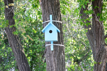 A bird feeder in a city park. caring for birds in winter and during the cold season. a place to feed wintering birds