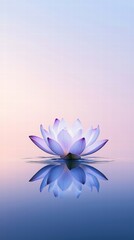 Obraz premium Calm lotus reflection serenity on waters surface