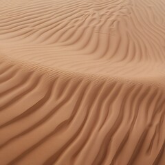 Expansive Desert Landscape with Flowing Sand Dunes, Intricate Wind Patterns and Warm Golden Hue