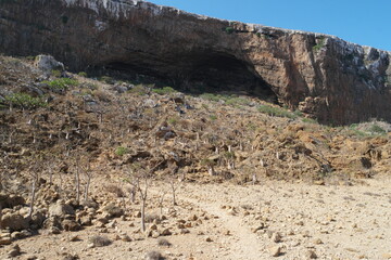 Exploration of the Stunning Hoq Cave on Socotra Island in Yemen