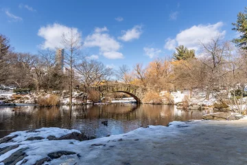 Iconic pond view with Gapstow bridge in Central Park during winter 2025.