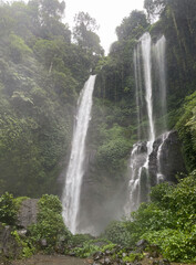Tropical rainforest Sekumpul waterfalls in Bali, Indonesia.