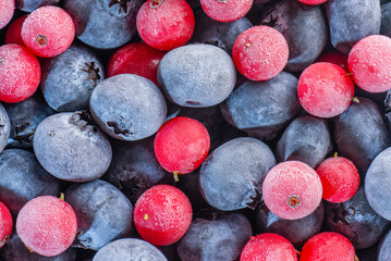 a pile of frozen blueberries and cranberries covered in frost
