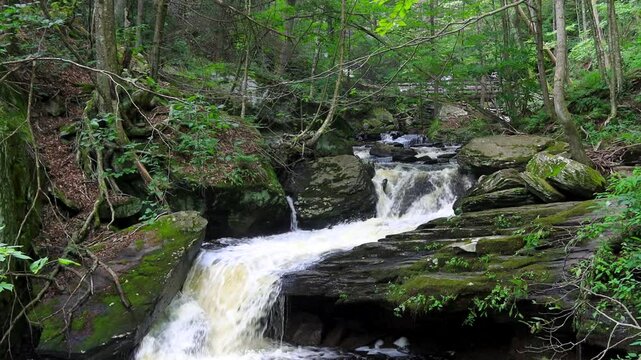 Waterfalls in scenic Ricketts Glen state park, Pennsylvania .