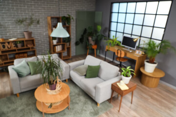 Blurred view of living room with plants, sofas and workplace