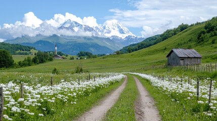 Fototapeta premium Mountain Valley Path with Flowers and Snow-capped Peaks