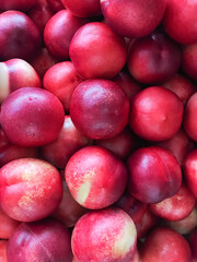 Vibrant close-up of fresh Chilean plums, showcasing deep red hues and glossy texture. Perfect for advertising, visual projects, or social media related to healthy eating.