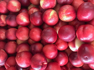 Vibrant close-up of fresh Chilean plums, showcasing deep red hues and glossy texture. Perfect for advertising, visual projects, or social media related to healthy eating.