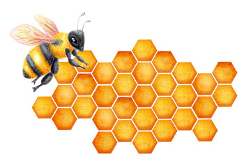 World Bee Day. Honeycomb watercolor drawing with bee. Concept save the bees and ecology and ecosystem.