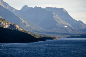 Pelican soaring over Waterton Lake in the Rocky Mountains