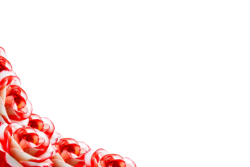 frame of red roses on transparent background free space for text postcards frames