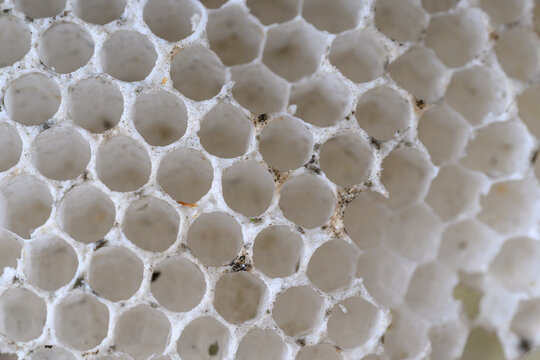 Close-up of an empty white honeycomb.
