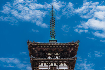 【奈良県】薬師寺 東塔（世界文化遺産）