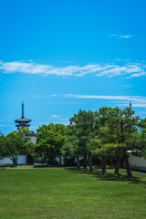 【奈良県】薬師寺 （世界文化遺産）