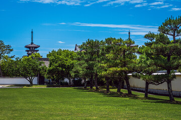【奈良県】薬師寺 の風景