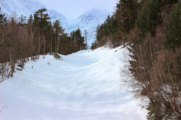 Snowy Descent Amid Mountain Forests