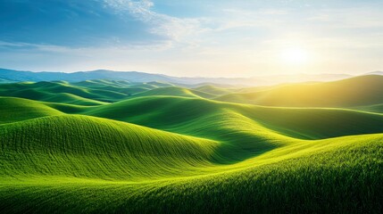 Obraz premium Serene Rolling Hills: A Breathtaking Landscape Photography of Golden Sunlight on Vast Green Fields