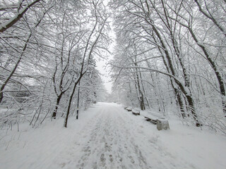 Winter Landscape of South Park in city of Sofia, Bulgaria