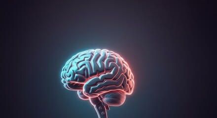 A brain with a red and blue glow