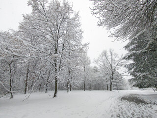 Winter Landscape of South Park in city of Sofia, Bulgaria
