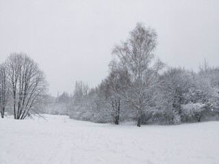 Winter Landscape of South Park in city of Sofia, Bulgaria