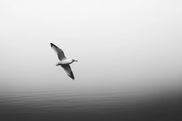 Obraz premium Seagull soars gracefully against a backdrop of tranquil water