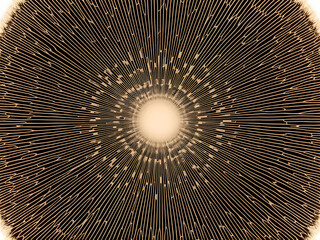 A circular pattern with radial lines, evoking natural textures and a serene, earthy aesthetic.