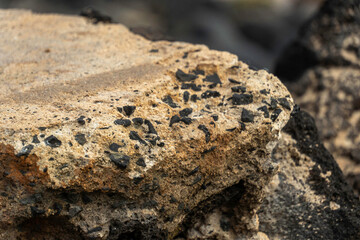 a rocky shore of poiupu beach