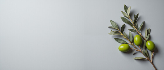 Green olive branch with leaves and olives against a light background, conveying a sense of peace and tranquility, representing Palm Sunday