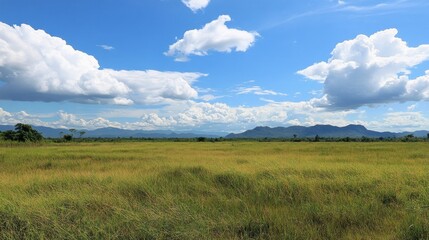 Expansive grassland under a vast blue sky with scattered clouds