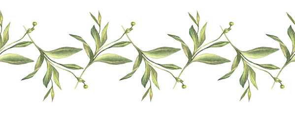 Seamless rim with watercolor grass and leaves on white background. Hand-drawn green bush with bud. Branch for invite card or frame for wedding celebration and sticker. Border for wallpaper wrapping