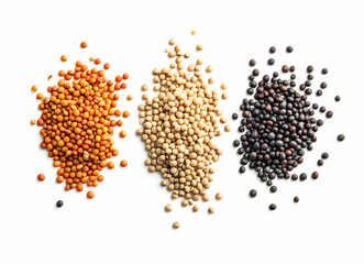 Naklejka premium Three distinct piles of legumes showcasing a spectrum of earthy hues against a pristine white backdrop highlighting natural variations