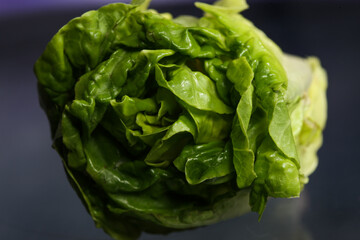 Detail photo of ripe organic green salad Romano photographed in interesting way. 