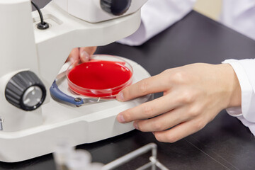 研究室　開発　実験室　臨床検査　バイオテクノロジー　新薬