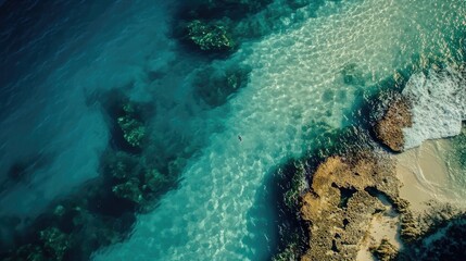 Aerial view person swimming, clear turquoise water, rocky coast, beach