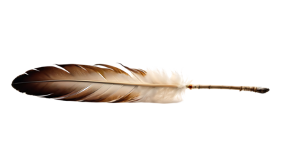 Single Brown and White Feather on Black Background