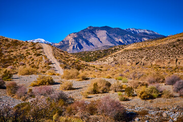 Desert Trail to Snow-Dusted Mountains Nevada Pathway Perspective