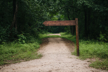 A signpost is standing in the middle of a dirt road in a forest