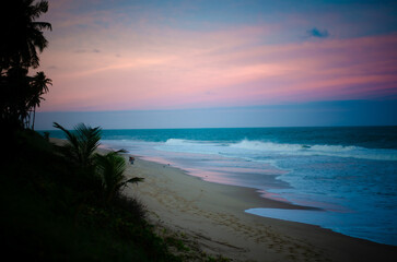 Serene tropical beach scene at sunset, with palm trees and a vibrant pink and blue sky reflecting on the ocean waves. Salvador,BA.
