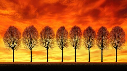 Silhouetted trees against a vibrant sunset sky, creating a serene landscape scene